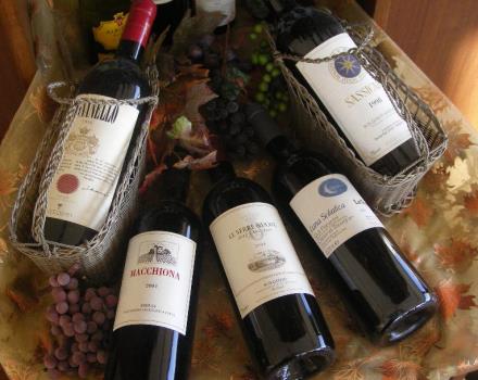 vinos de los valles de Piacenza
