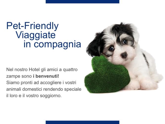 i nostri amici animali Se vuoi portare il tuo amico con te, sarà da noi ben accetto, e coccolato come meglio possiamo