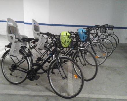 Bicycle Hire for Free