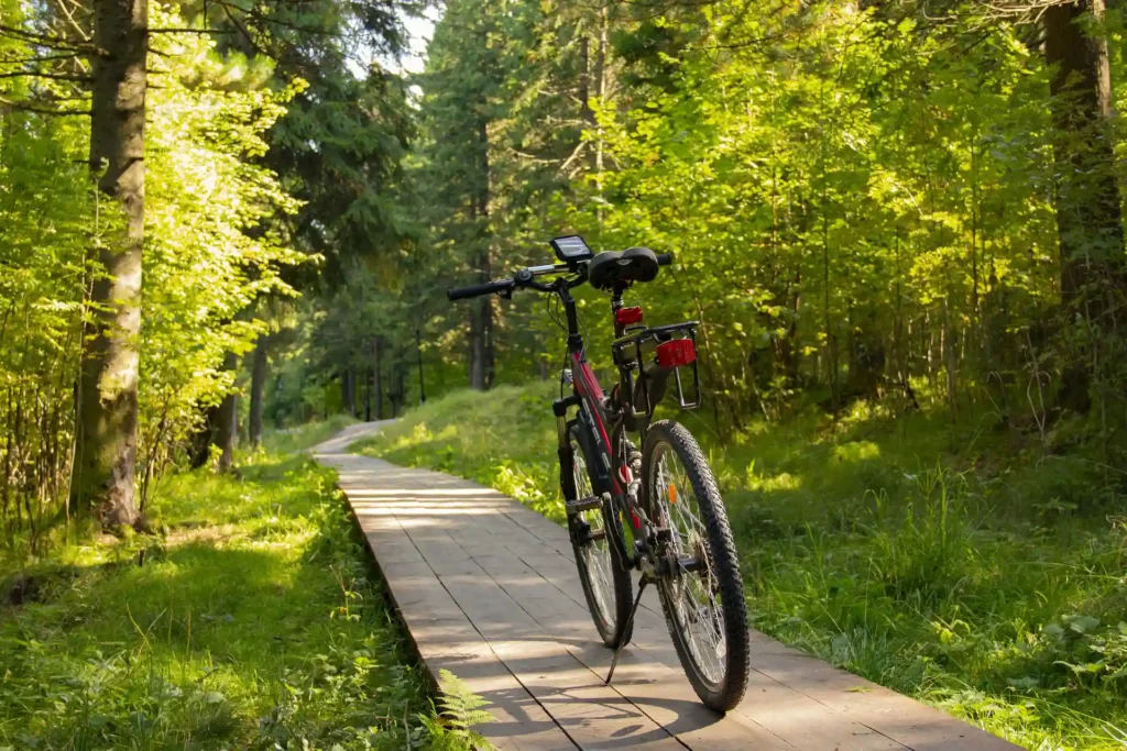 Mountain bike leaning on a wooden boardwalk crossing a trail in a green forest. Surrounding trees are illuminated by natural light, creating a peaceful atmosphere
